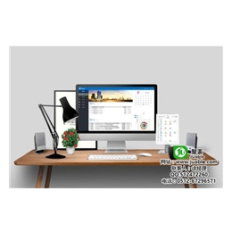 蘇州勝納軟件 專業(yè)ERP開發(fā)，助力企業(yè)智慧升級(jí)